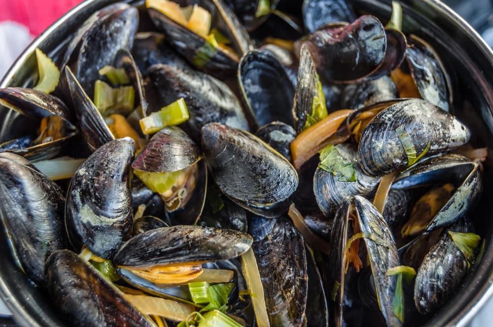 Une assiette de moules cuites