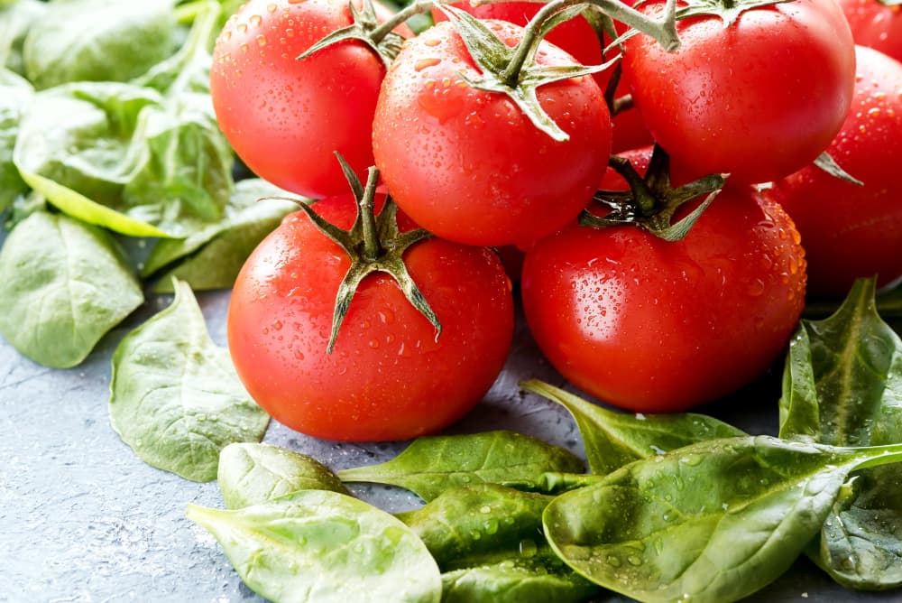 Tomates fraîches : 12 recettes faciles, rapides et terriblement gourmandes pour l’été